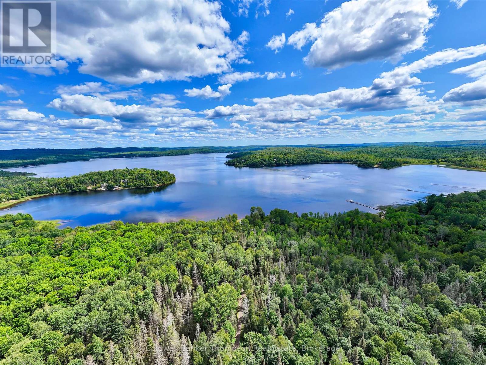 152 Clark Road, Armour, Ontario  P0A 1C0 - Photo 41 - X12324877