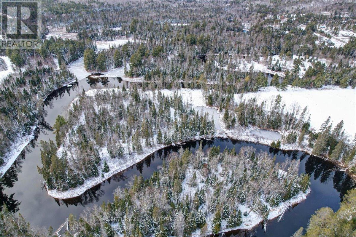 40 York River Drive, Bancroft, Ontario  K0L 1C0 - Photo 16 - X12324992