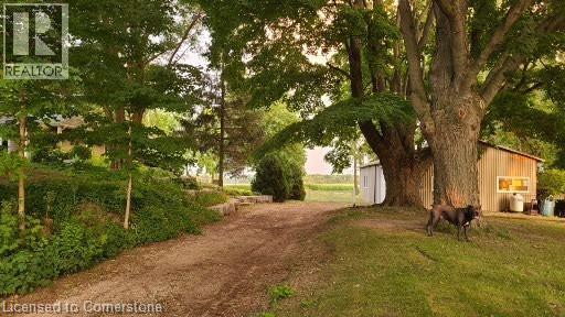 Photo 46 of 50 for 33875 Fifth Line