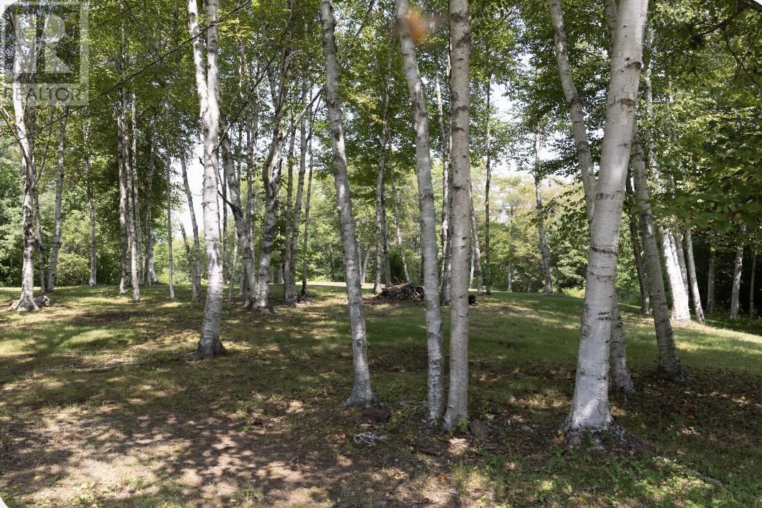 6935 Grand Narrows Highway, Shenacadie, Nova Scotia  B1T 1M5 - Photo 6 - 202519270