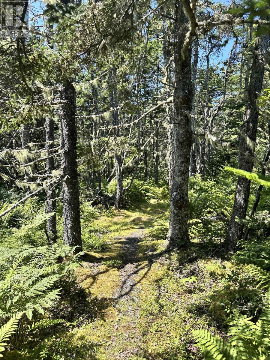 850 Rockland Road + 16 Acres, East Side Of Ragged Island, Nova Scotia  B0T 1V0 - Photo 39 - 202519251