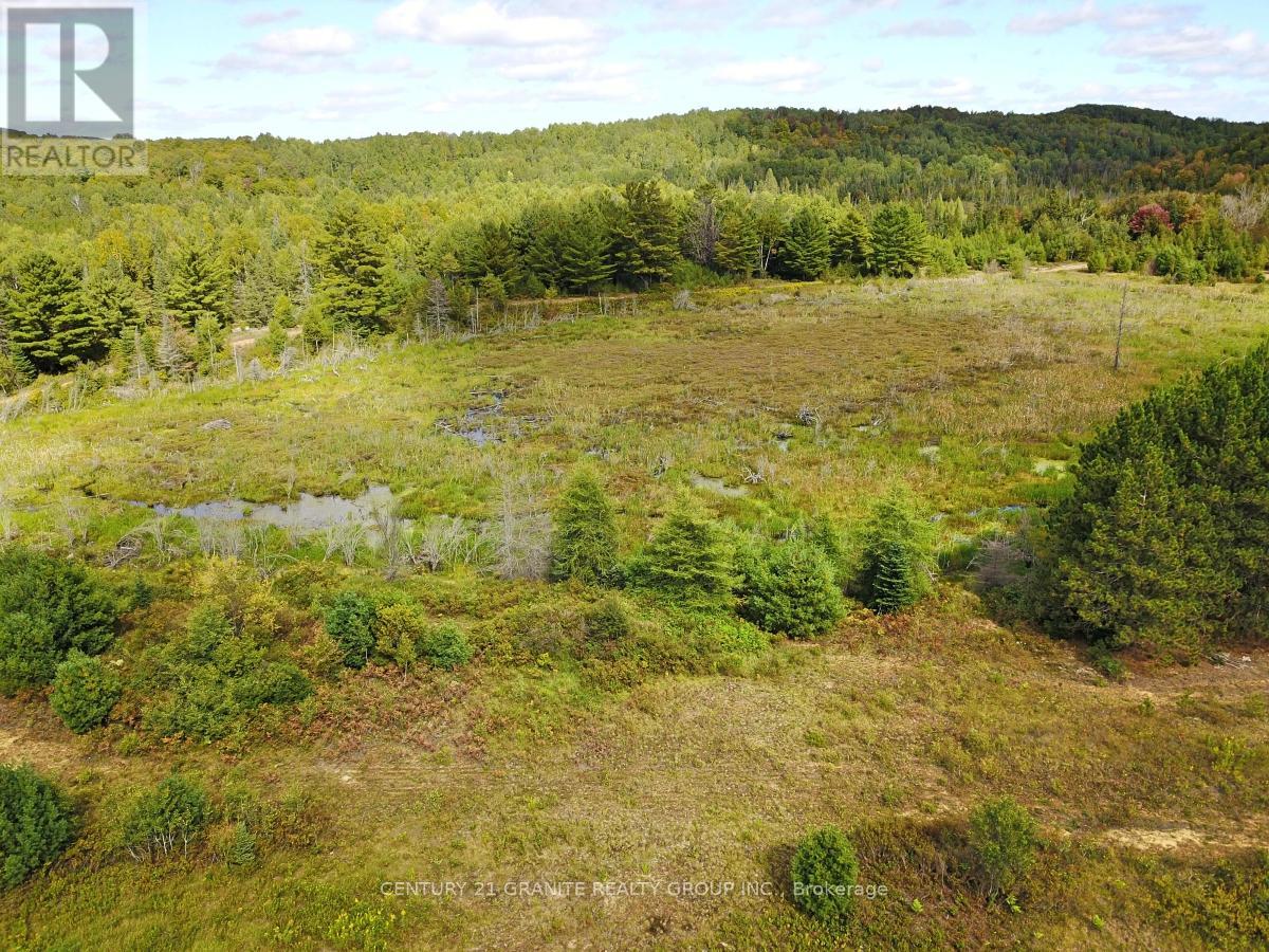 Ptlt 47 Highway 62 S, Bancroft, Ontario  K0L 1C0 - Photo 18 - X12325416