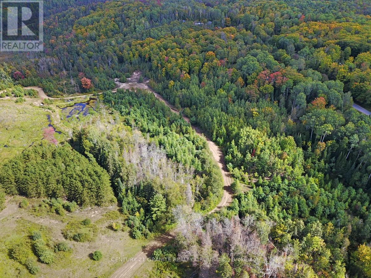 Ptlt 47 Highway 62 S, Bancroft, Ontario  K0L 1C0 - Photo 8 - X12325416