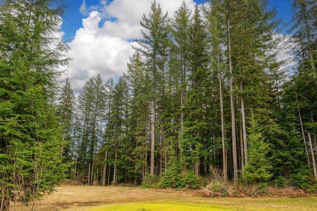 12236 Powell Street, Mission, British Columbia  V4S 1C1 - Photo 31 - R3032364