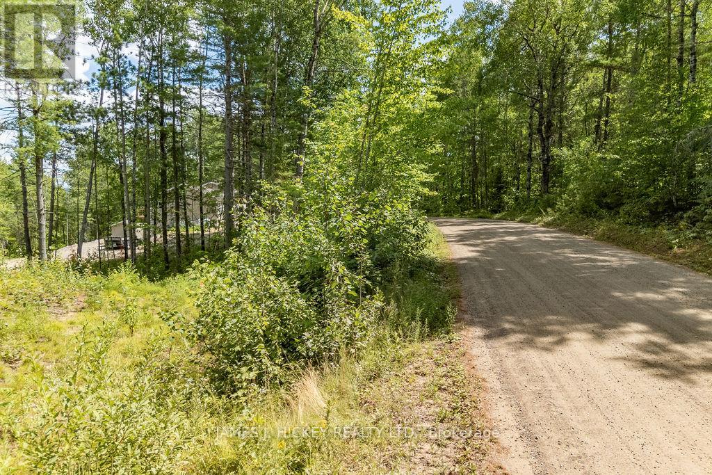 00 Mcanulty Road, Deep River, Ontario  K0J 1P0 - Photo 10 - X12325565