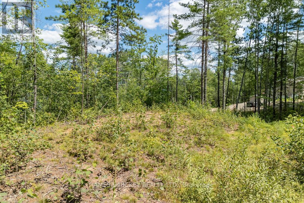 00 Mcanulty Road, Deep River, Ontario  K0J 1P0 - Photo 13 - X12325565