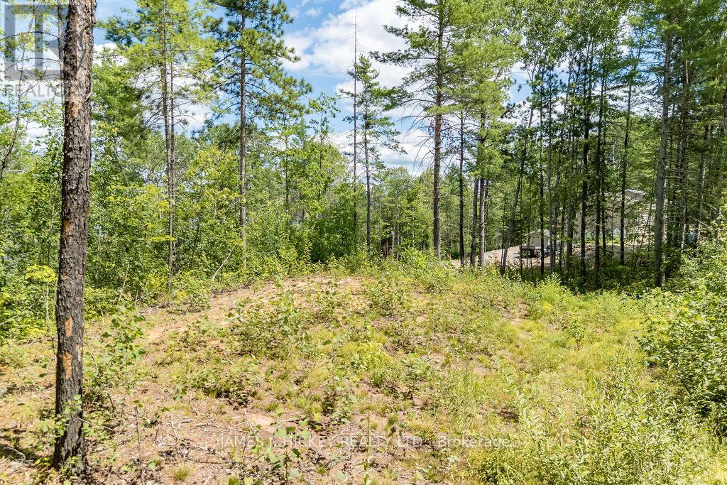 00 Mcanulty Road, Deep River, Ontario  K0J 1P0 - Photo 14 - X12325565