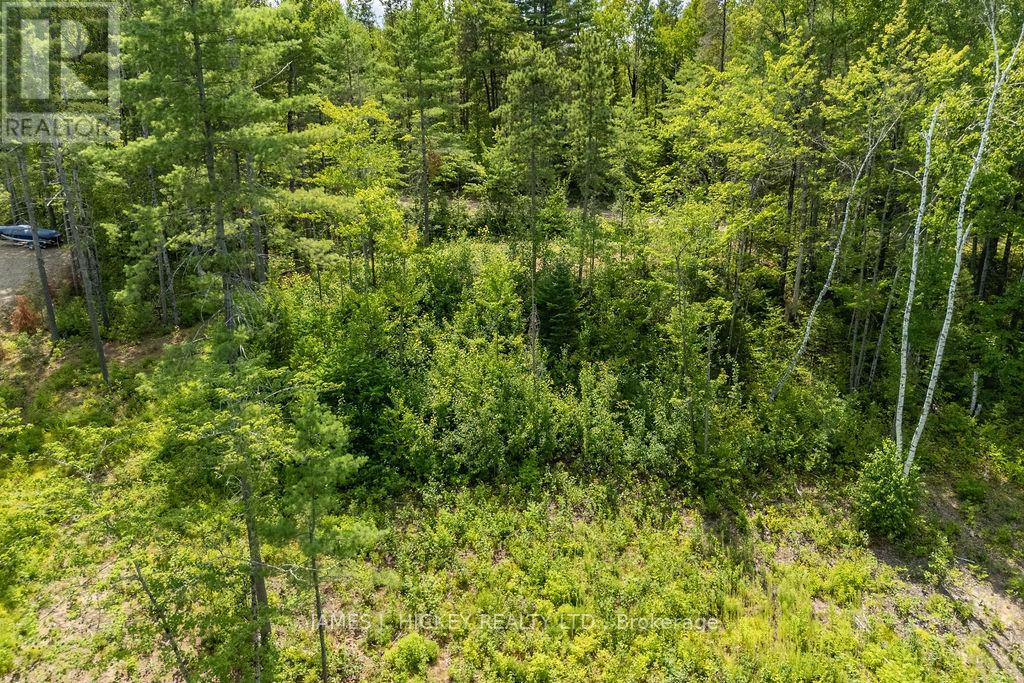 00 Mcanulty Road, Deep River, Ontario  K0J 1P0 - Photo 17 - X12325565