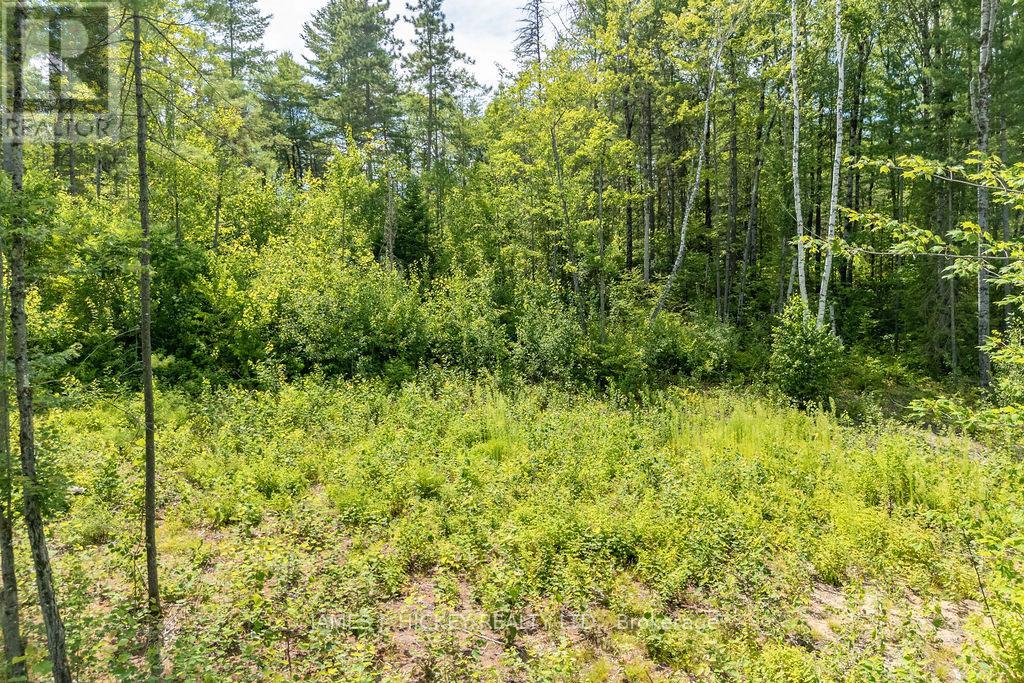 00 Mcanulty Road, Deep River, Ontario  K0J 1P0 - Photo 18 - X12325565