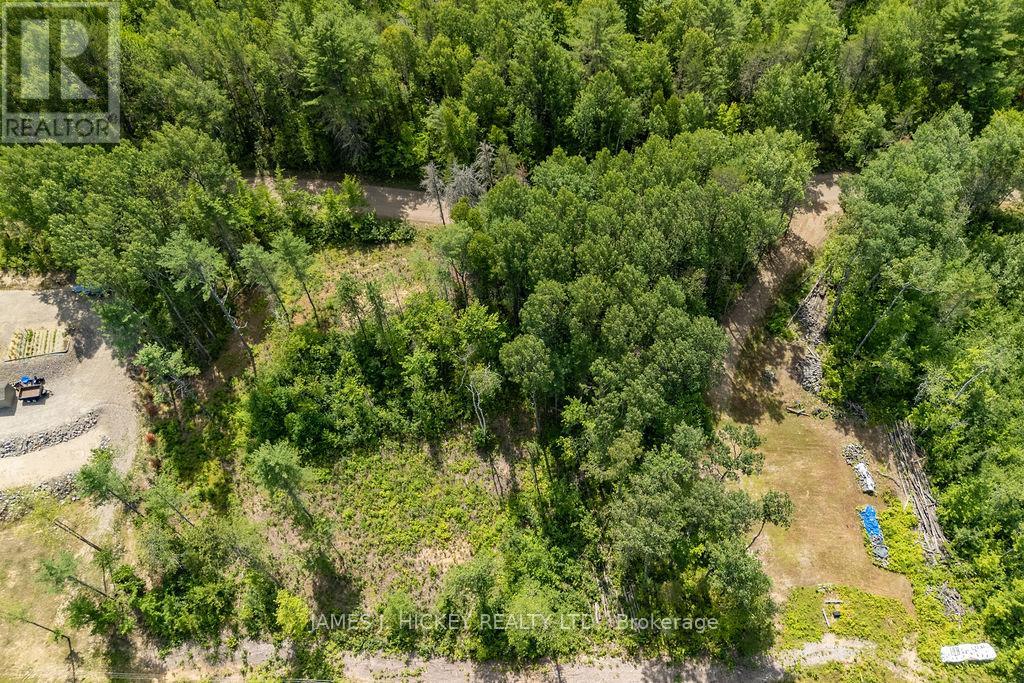 00 Mcanulty Road, Deep River, Ontario  K0J 1P0 - Photo 19 - X12325565