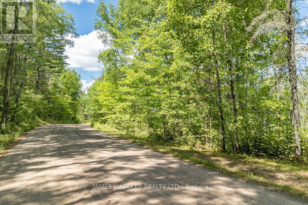 00 Mcanulty Road, Deep River, Ontario  K0J 1P0 - Photo 3 - X12325565