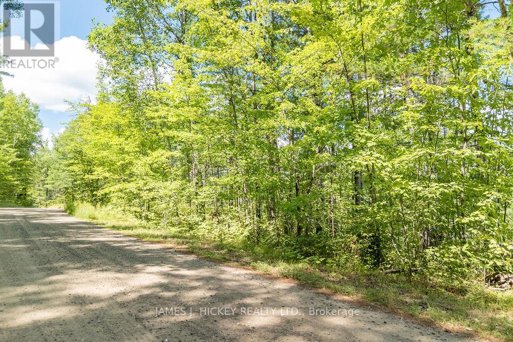 00 Mcanulty Road, Deep River, Ontario  K0J 1P0 - Photo 6 - X12325565