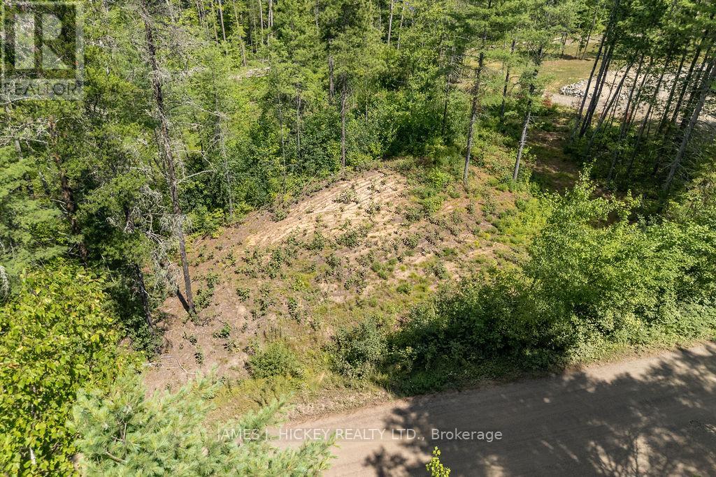 00 Mcanulty Road, Deep River, Ontario  K0J 1P0 - Photo 7 - X12325565