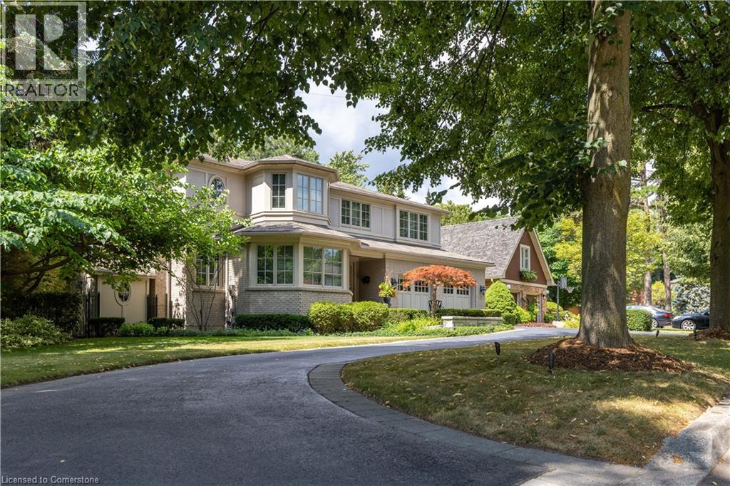 Property at 56 CAMEO Street image 3