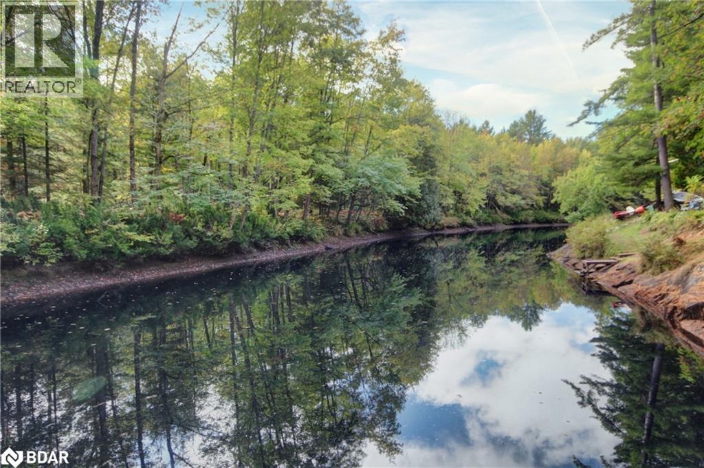 54 Black River Road, Washago, Ontario  L0K 2B0 - Photo 5 - 40746018