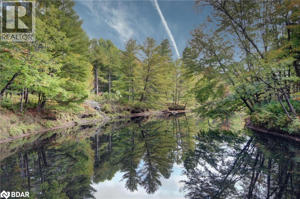 54 Black River Road, Washago, Ontario  L0K 2B0 - Photo 3 - 40746018