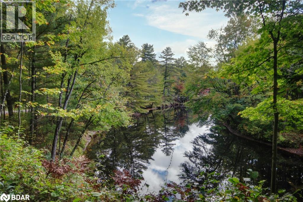 54 Black River Road, Washago, Ontario  L0K 2B0 - Photo 4 - 40746018