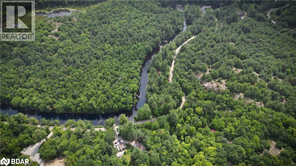 54 Black River Road, Washago, Ontario  L0K 2B0 - Photo 24 - 40746018