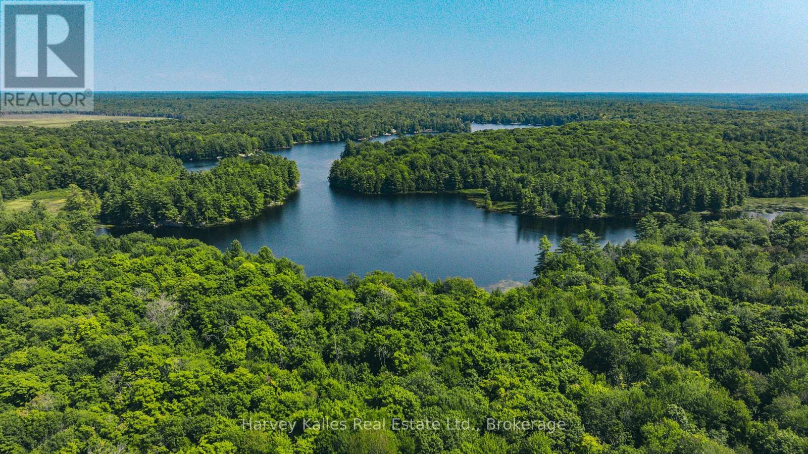 0 Windermere Road, Muskoka Lakes, Ontario  P0B 1M0 - Photo 6 - X12326029