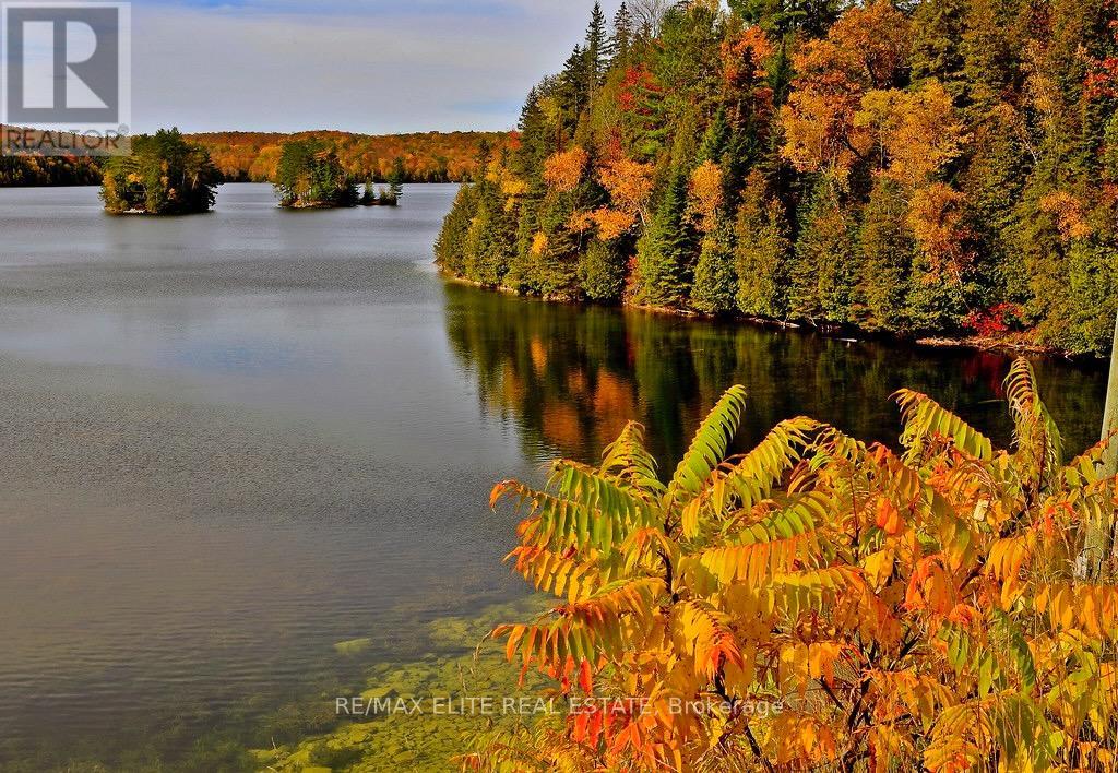 376 Faradale Court, Faraday, Ontario  K0L 1C0 - Photo 41 - X12322981