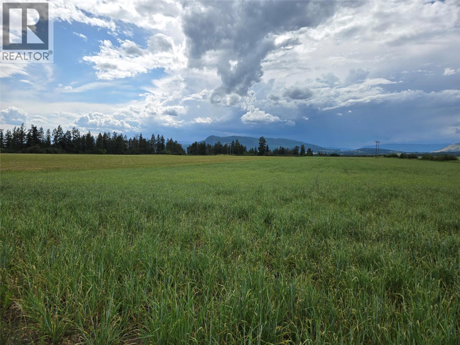 Lot 1 Marshall Road, Spallumcheen, British Columbia  V0E 1V0 - Photo 12 - 10358261