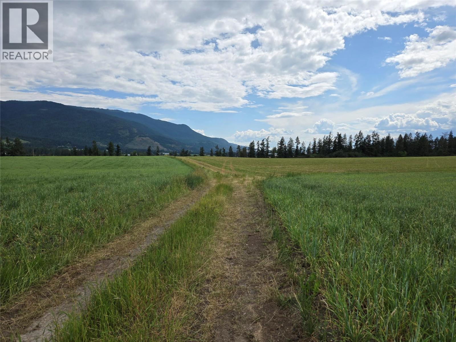 Lot 1 Marshall Road, Spallumcheen, British Columbia  V0E 1V0 - Photo 13 - 10358261