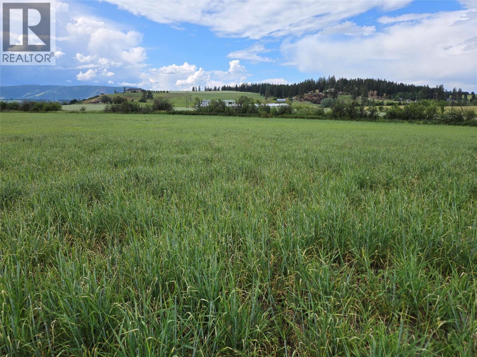 Lot 1 Marshall Road, Spallumcheen, British Columbia  V0E 1V0 - Photo 17 - 10358261