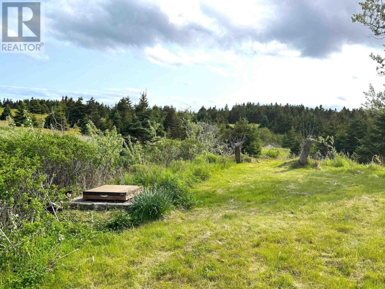 3098 Point Michaud Rd, Gracieville, Nova Scotia  B0E 1W0 - Photo 12 - 202514840