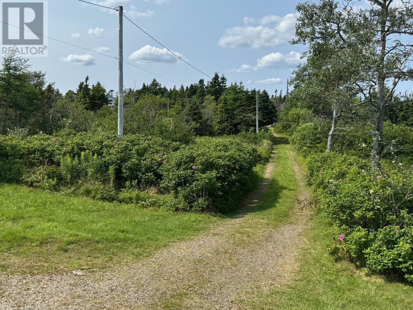 3098 Point Michaud Rd, Gracieville, Nova Scotia  B0E 1W0 - Photo 5 - 202514840