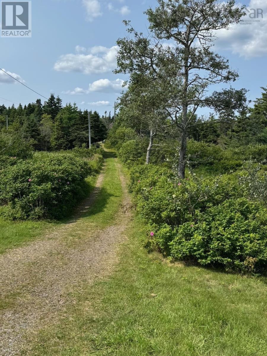 3098 Point Michaud Rd, Gracieville, Nova Scotia  B0E 1W0 - Photo 6 - 202514840