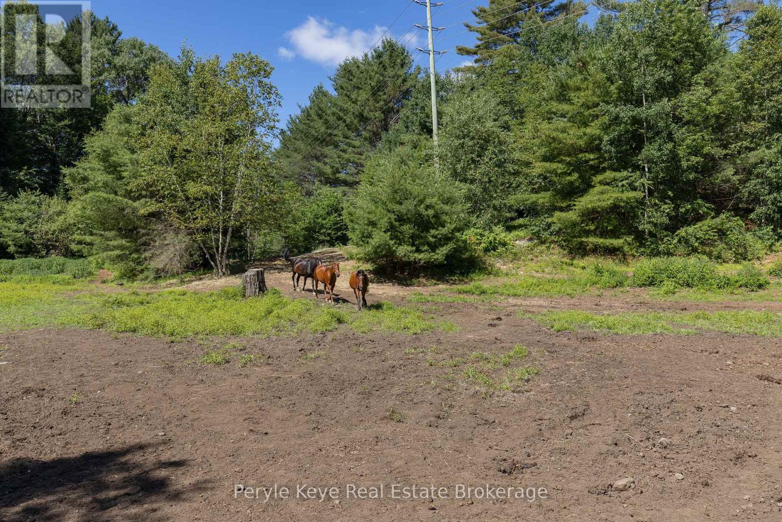 2322 Old Muskoka Road, Huntsville, Ontario  P0B 1M0 - Photo 44 - X12306624