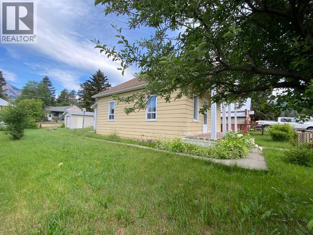 20630 25 Avenue, Bellevue, Alberta  T0K 0C0 - Photo 22 - A2233689