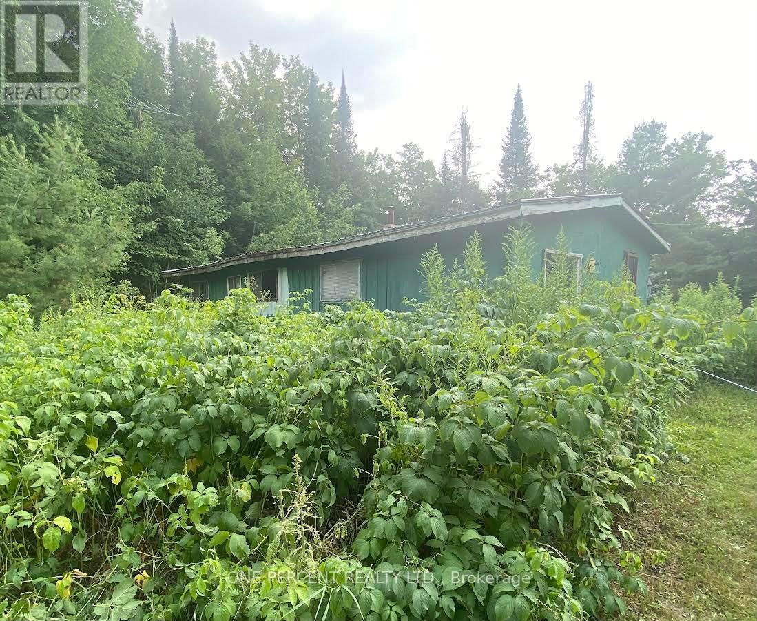 1104 Hawn Road, Bracebridge, Ontario  P1L 1X1 - Photo 10 - X12326149