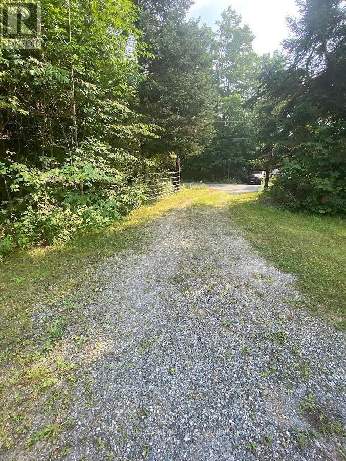 1104 Hawn Road, Bracebridge, Ontario  P1L 1X1 - Photo 3 - X12326149