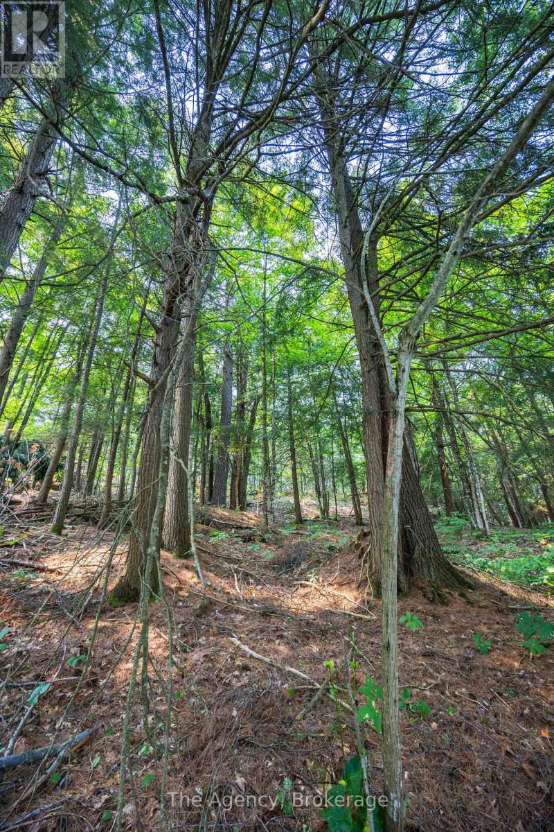 Lot 13 4 Wheel Drive, Gravenhurst, Ontario  P0E 1G0 - Photo 18 - X12326243