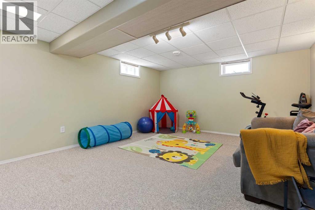5235 56 Avenue, Viking, Alberta  T0B 4N0 - Photo 23 - A2244742