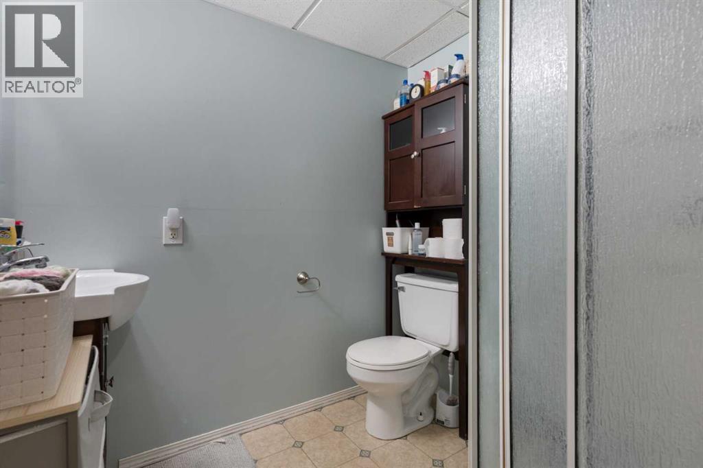 5235 56 Avenue, Viking, Alberta  T0B 4N0 - Photo 28 - A2244742