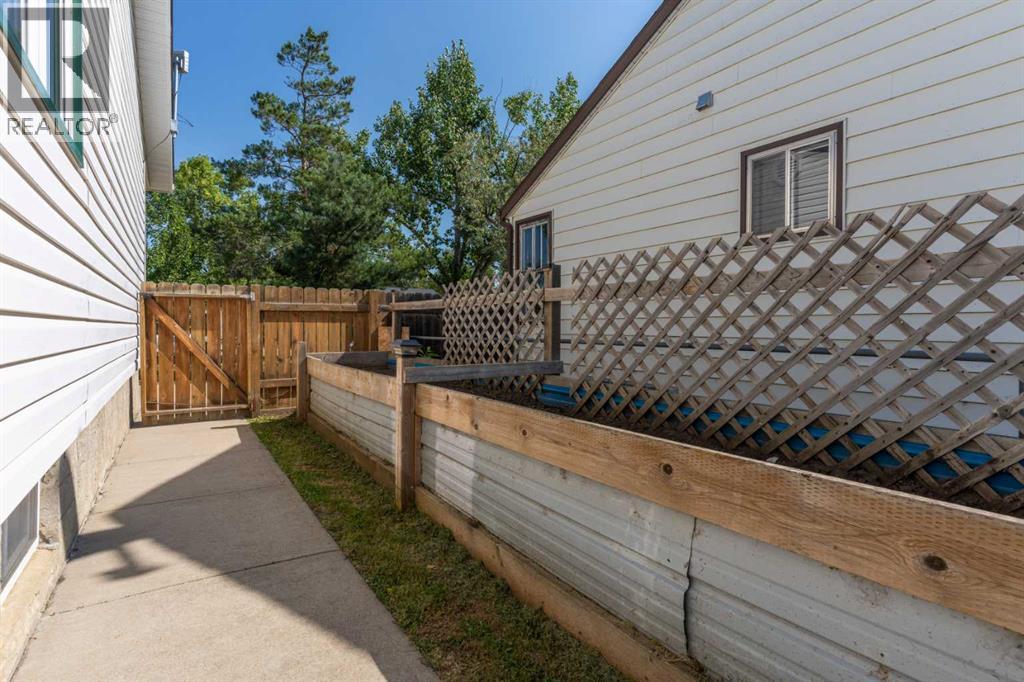 5235 56 Avenue, Viking, Alberta  T0B 4N0 - Photo 32 - A2244742