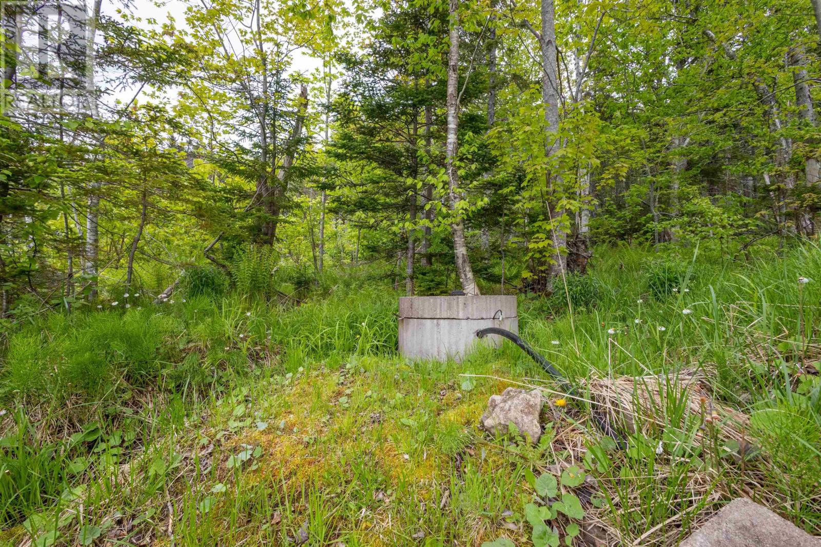 9286 Kempt Head Road, Ross Ferry, Nova Scotia  B1X 1P5 - Photo 17 - 202511919