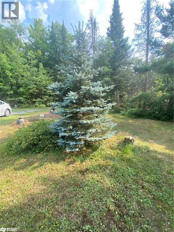 1104 Hawn Road, Uffington, Ontario  P1L 1X1 - Photo 4 - 40757640