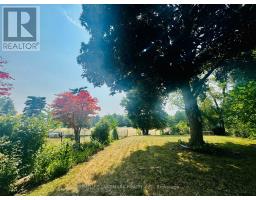 272 ESSEX (WORK OUT BASEMENT) AVENUE, Richmond Hill, Ontario