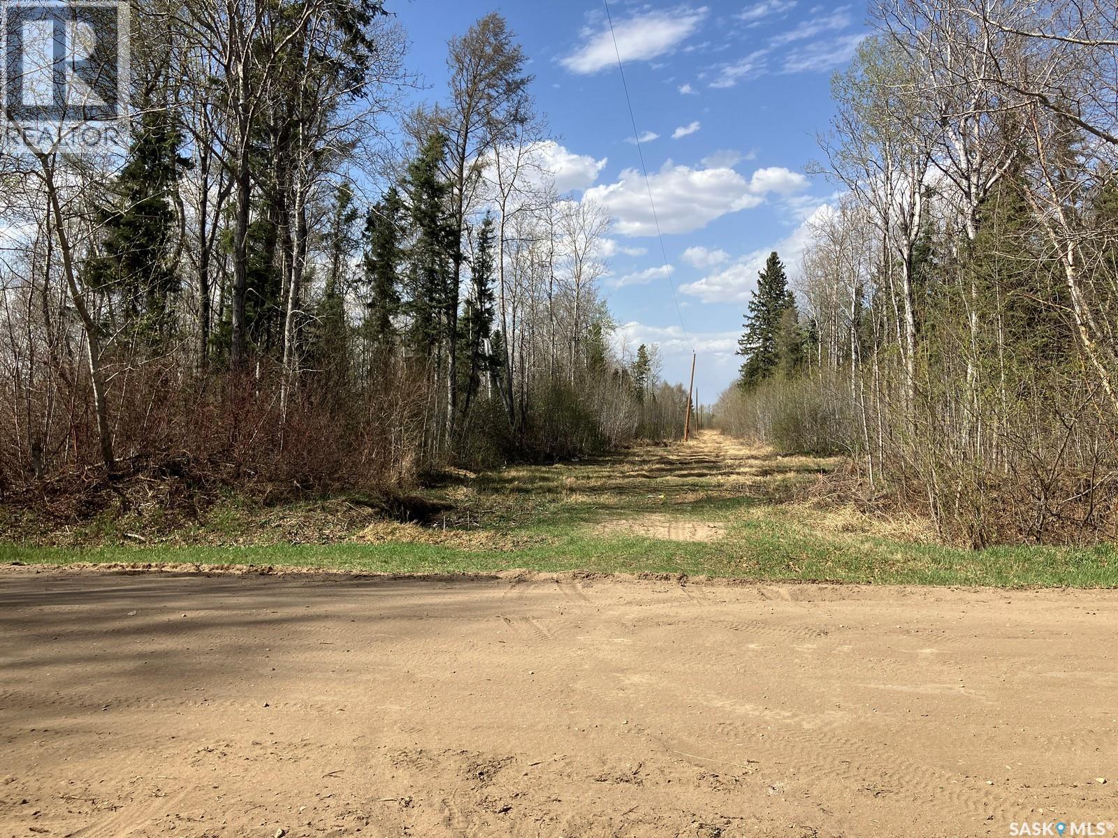 1 W Tamarac Avenue, Nipawin, Saskatchewan  S0E 1E0 - Photo 5 - SK993288