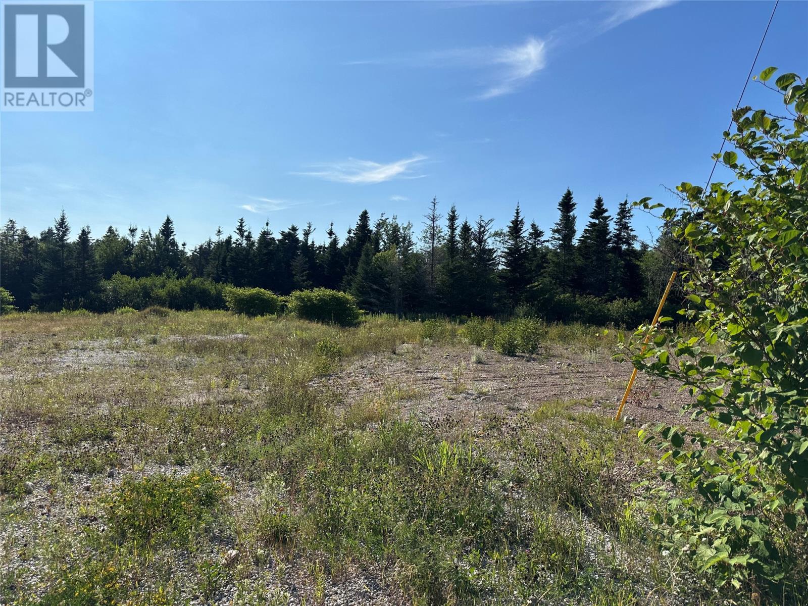 225-229 Nicholsville Road, Deer Lake, Newfoundland & Labrador  A8A 1W4 - Photo 1 - 1288868