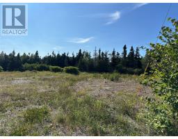 225-229 Nicholsville Road, Deer Lake, Newfoundland & Labrador