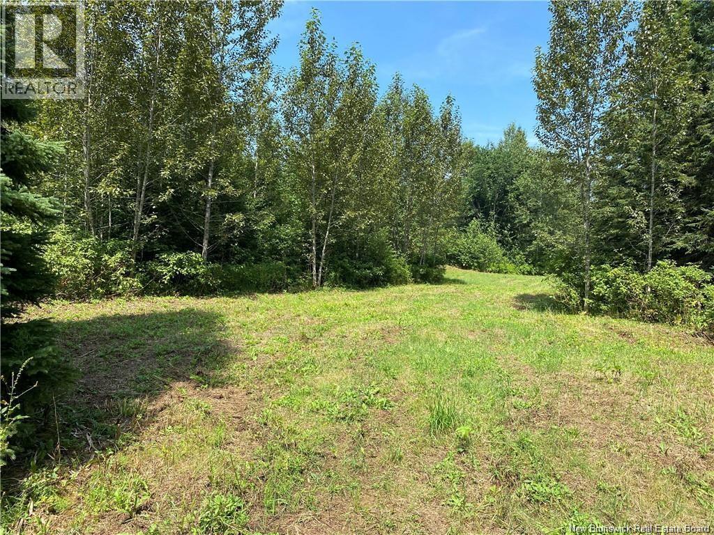 Land Archibald Road, Belledune, New Brunswick  E8G 1W5 - Photo 3 - NB124354