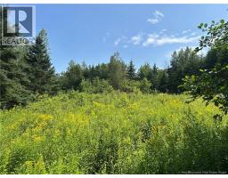 Mallery Road, Hammondvale, New Brunswick