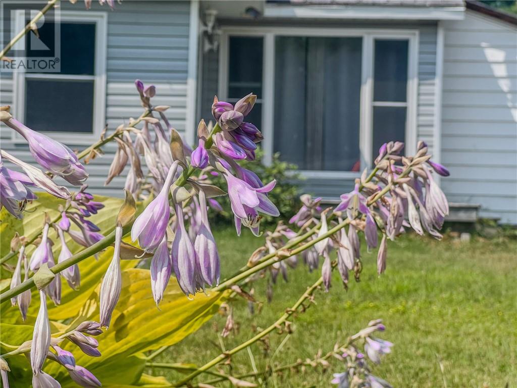 6 Eley Road, Iron Bridge, Ontario  P0R 1H0 - Photo 24 - 2123942