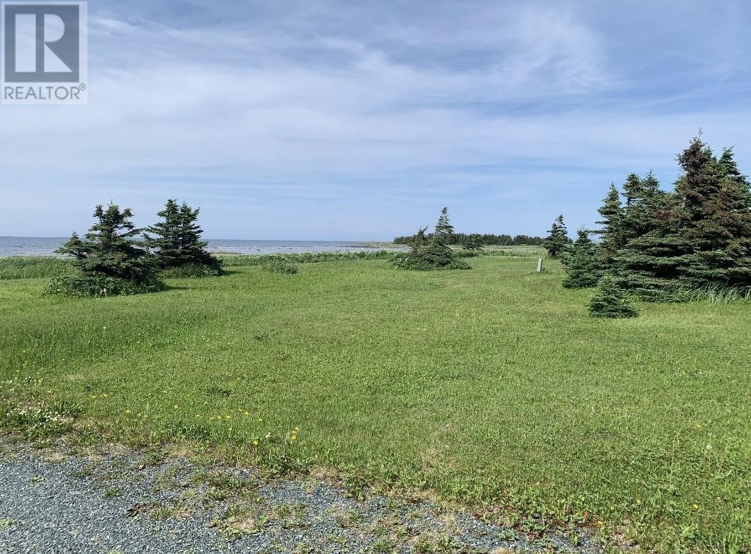 7 Long Point Double Brook Road, St Anthony, Newfoundland & Labrador  A0K 4S0 - Photo 3 - 1288882