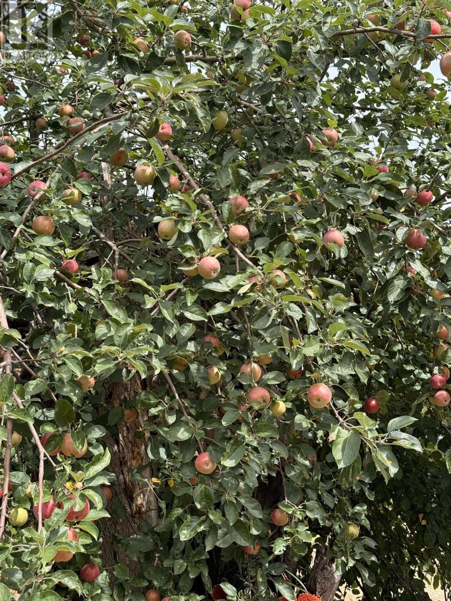 9521 Commercial Street, New Minas, Nova Scotia  B4N 3G3 - Photo 48 - 202514386