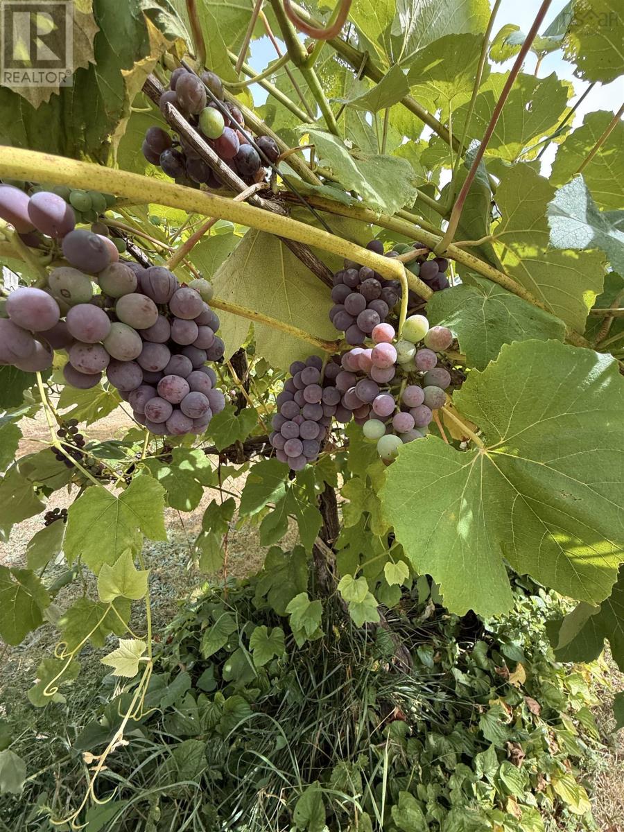 9521 Commercial Street, New Minas, Nova Scotia  B4N 3G3 - Photo 49 - 202514386